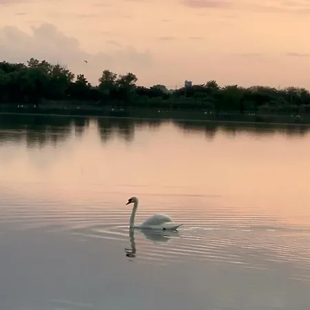 Prenociste 6 Soba 3*