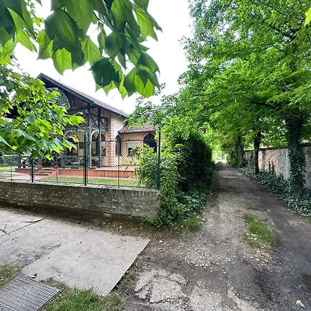 Regina 2*