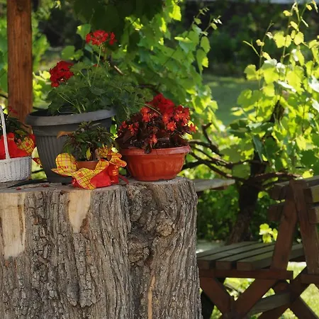 Prenociste 6 Soba 3*