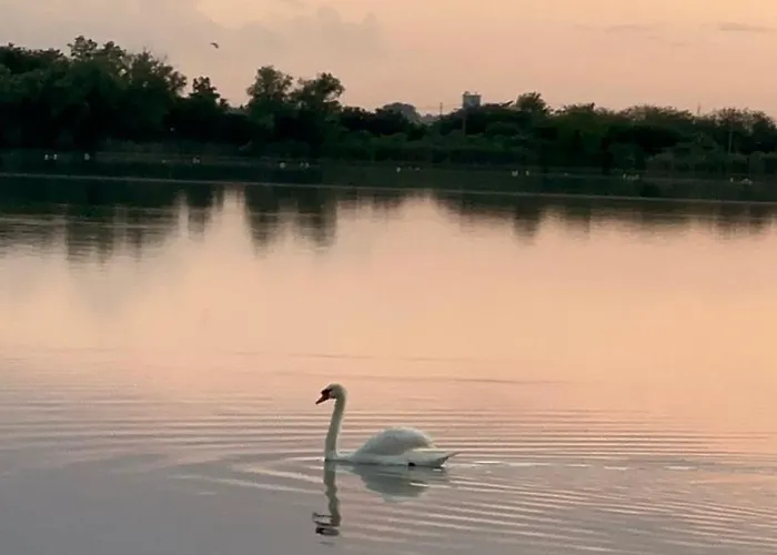 Prenociste 6 Soba 3*