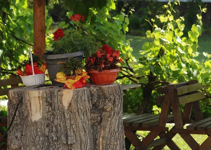 Prenociste 6 Soba 3*